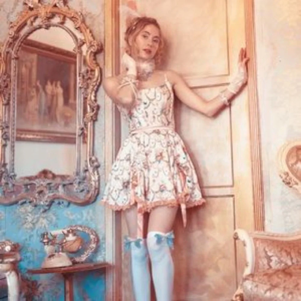 Sugar Thrillz Lush Opulence Butterfly Corset Dress Marie Antoinette Size XL - Picture 3 of 6